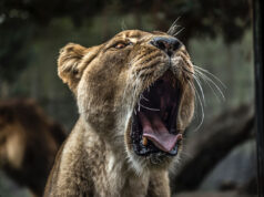 How To Use Basic Design Principles To Decorate Your Home