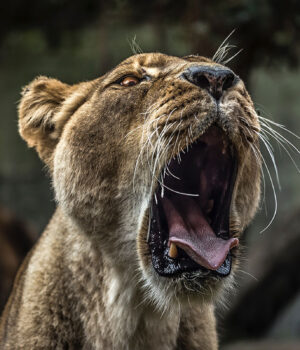 10 Ways to Make Extra Money as a Graphic Designer